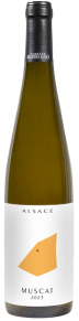 Muscat Organoleptik 2025
