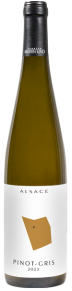 Pinot Gris Organoleptik 2024