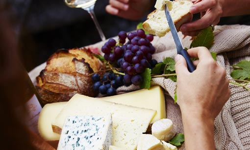 Dégustation vins et fromages