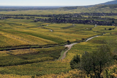 Paysage FURSTENTUM - Kientzheim